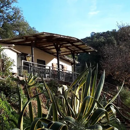Apartamento Les Amandiers - 5 Km De La *