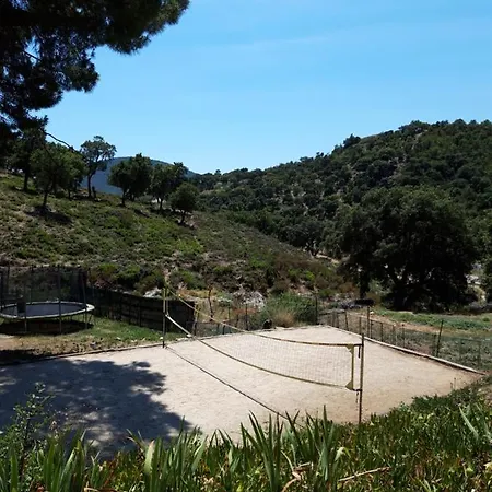 Lejlighed Les Amandiers - 5 Km De La *